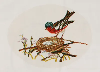 Chaffinch - background not embroidered