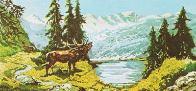 Morning Light on Mountain Lake