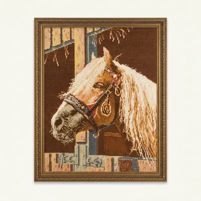 Horses Head
