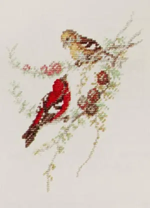 Americ. Crossbill