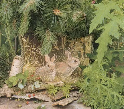Rabbit