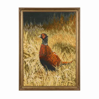 Pheasant