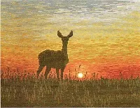 Deer at Sunset